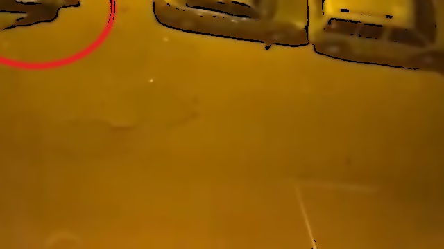 image not found